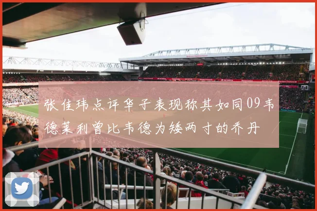 张佳玮点评华子表现称其如同09韦德莱利曾比韦德为矮两寸的乔丹