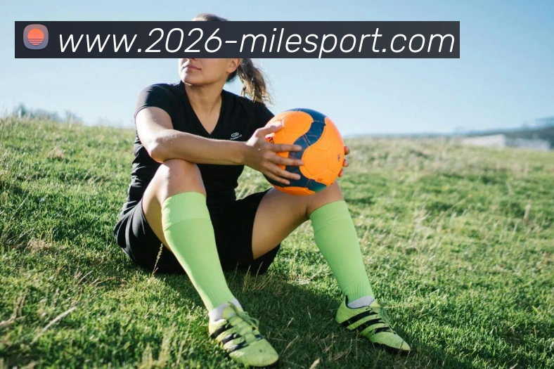 米乐体育APP 封面图