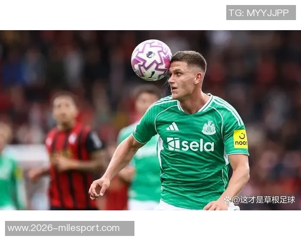 埃迪豪透露纽卡伤病情况博特曼缺席训练霍尔无缘热刺之战